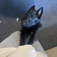 抱っこ