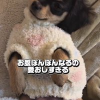 お腹がまんまる♡