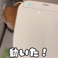 やっと出てくる！