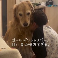 愛がひしひしと伝わる