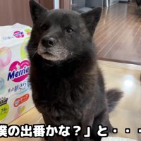 「やっぱり僕がお世話する」