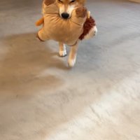 一度離れても、すぐそばにきて…