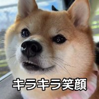 テンションMAX♪