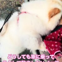 ピョンピョンと飛び上がってアピール！