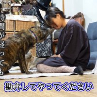 結局怒れなくなるママさん