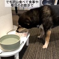 ご飯を食べる鶴ちゃん