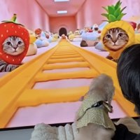 小さくても勇敢！