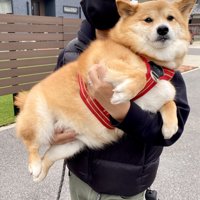 固まる