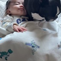 こんぶちゃんと赤ちゃん8