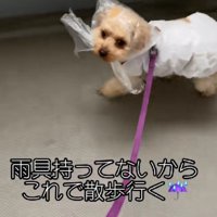 初期の自作カッパ