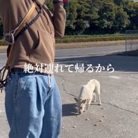 トラップを高く持ち上げて犬に向ける男性
