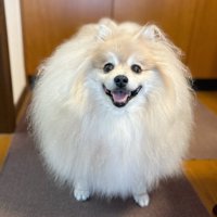 まん丸
