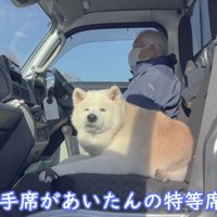 軽トラの助手席が特等席