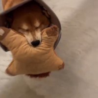 目をつぶっている長三郎くん