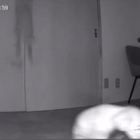 跳んだりお尻を引きずったりしている小型犬達