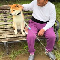 コタロウくんをなでるおじいちゃん