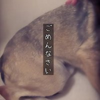 お風呂場で怯えるアッチャン