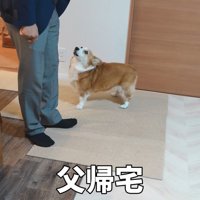 お父さんをお出迎え
