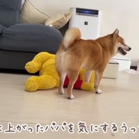 そわそわするうにくん