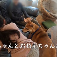 ワンジローくんは心配そう！