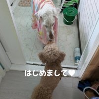 モカちゃんと初対面