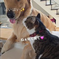 熱い視線を送っています