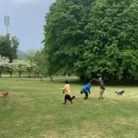 驚き