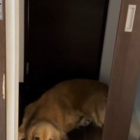 「え？どうしたの？」