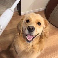 笑顔の犬