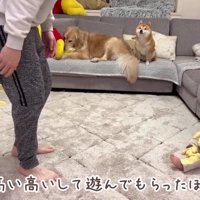パパと遊ぶほのちゃん