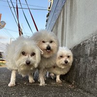 仲良し家族
