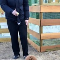 人の前に座る犬