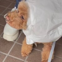 似合い過ぎて可愛い♡