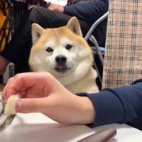 美味しくいただきました♪