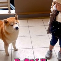 優しくお説教