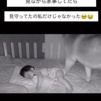 赤ちゃんの様子を確認してたら…