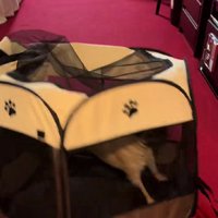 投稿主さんに突っこんだ