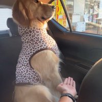 お父さんを無視！！