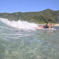 女性と一緒にサーフボードで波に乗るジャックラッセルテリア