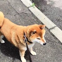 おじいちゃんが亡くなった…