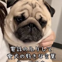 じっと聞いてます
