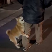 絶対に離れないロンくん