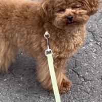 まさかの寝たふり！