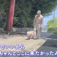 神社に到着しました♪