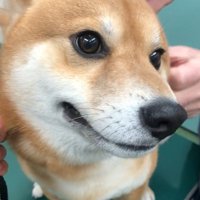 表情が変わっていくれお君