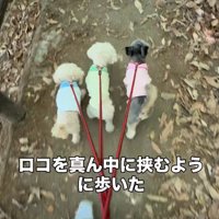 道が悪いところはリードして…