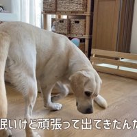 「わたしも混ぜて～」