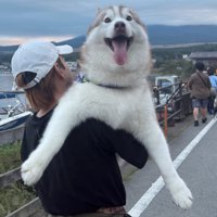 抱っこされて嬉しそうな犬