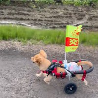 猛スピードでダッシュ！