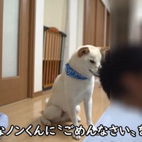 「ごめんなさい」の練習中